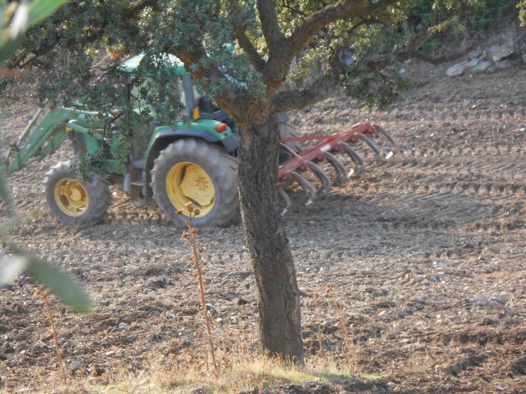 Фермерский дом Agriturismo Battaglia *